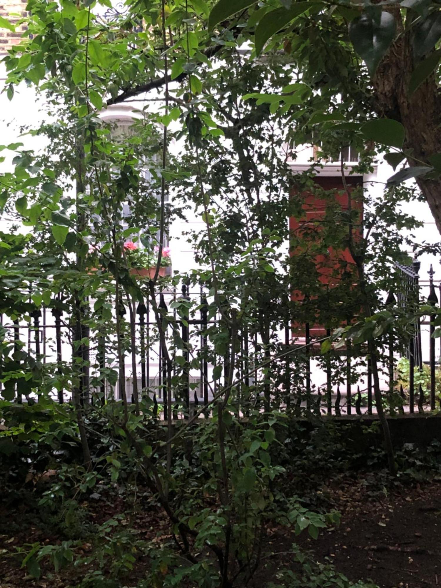Gorgeous Grade Ii Listed Georgian House - Leafy Square Views - Casa vacanze Londra